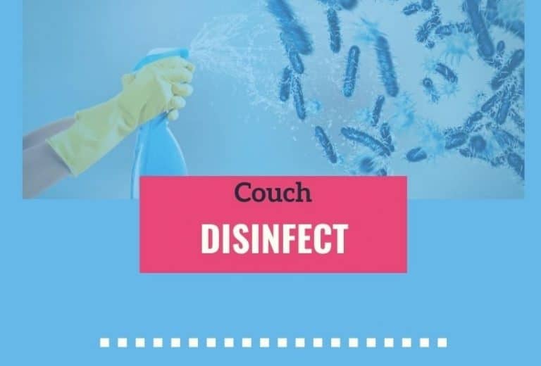 How to Disinfect Leather Couch Like a Professional [2021]
