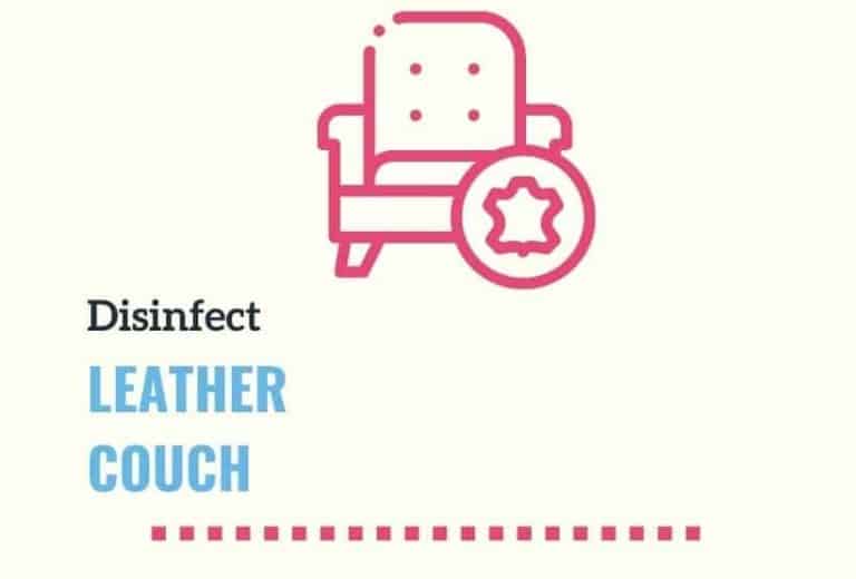 How to Disinfect Leather Couch Like a Professional [2021]