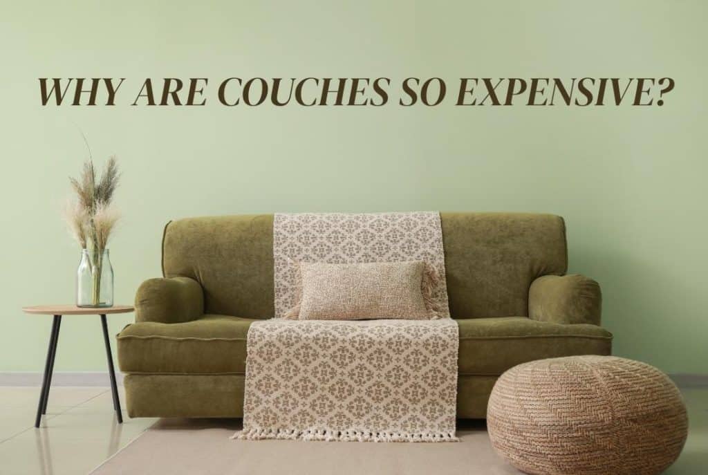 Why Are Couches So Expensive? What You Need To Know!