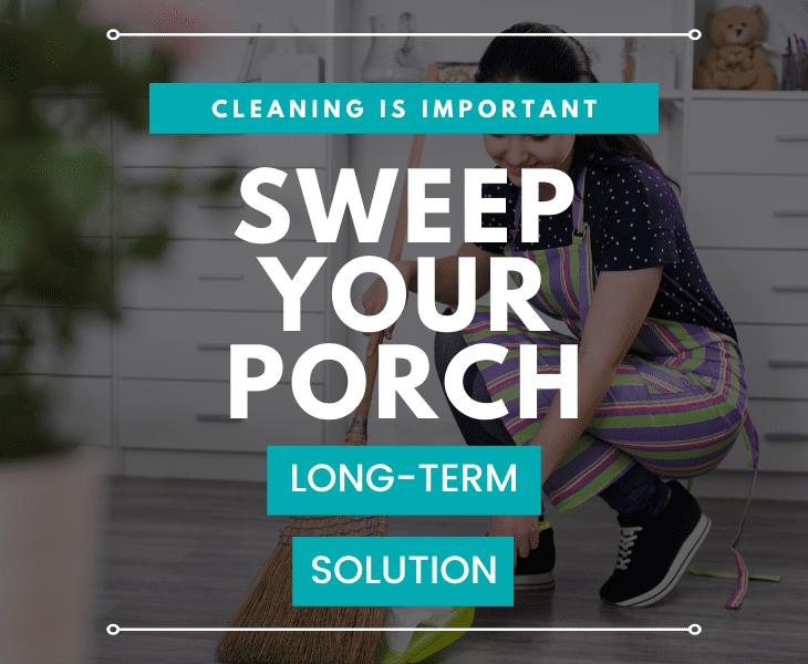 How To Keep Lizards Off Your Porch? (Proven Ways!)