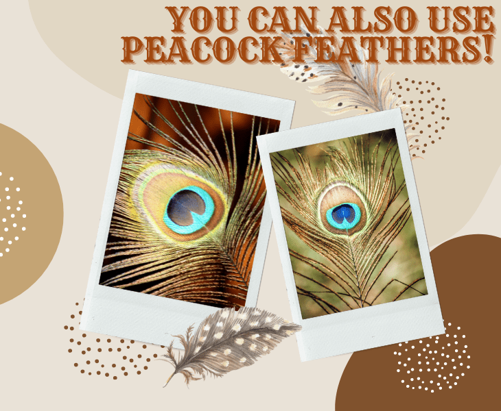 How To Keep Lizards Off Your Porch? (Proven Ways!)